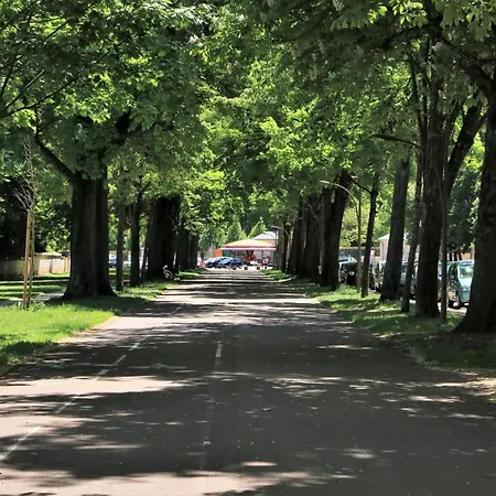 Au Coeur Des Allees